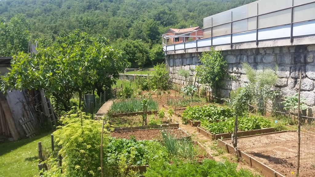 Apartment Vesna Free Parking Opatija