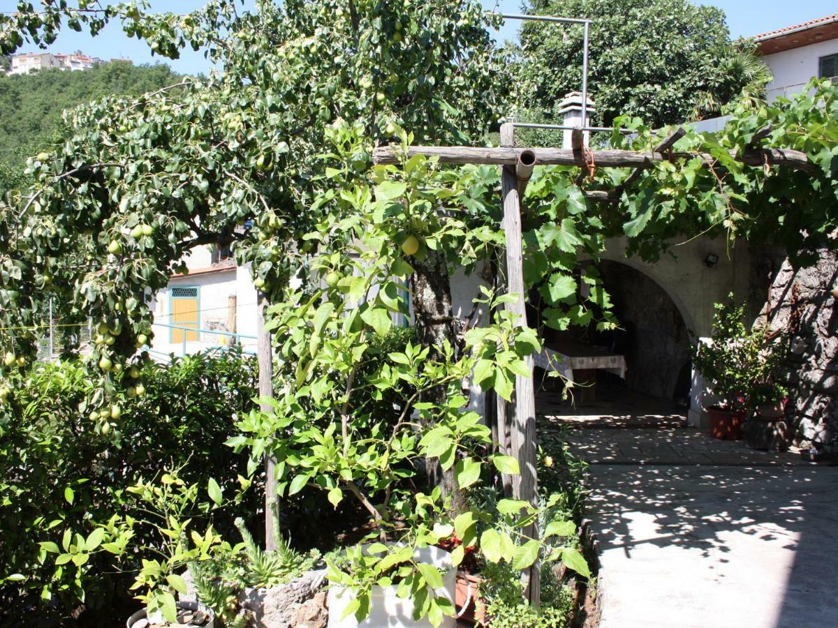Vesna Free Parking